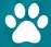 Paw White and Light Blue BG