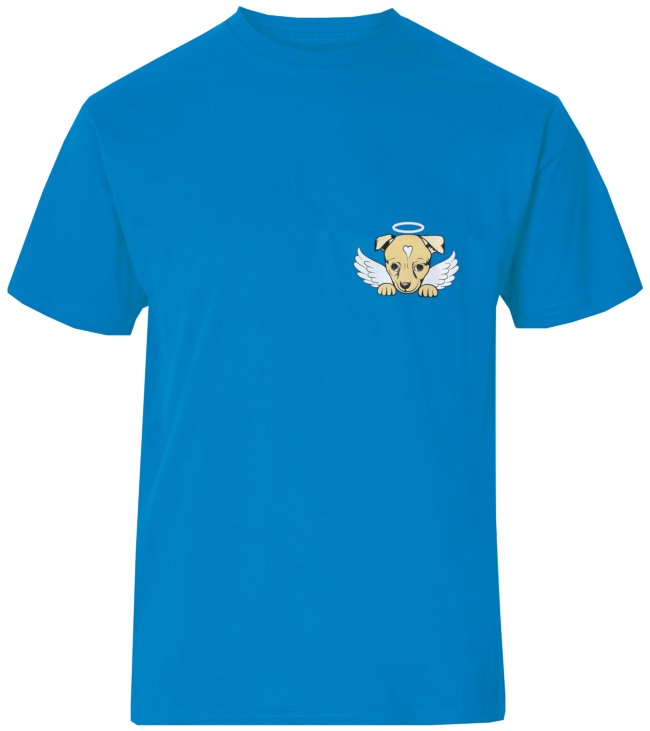 Dollars four Duncan T-Shirt Blue Front View